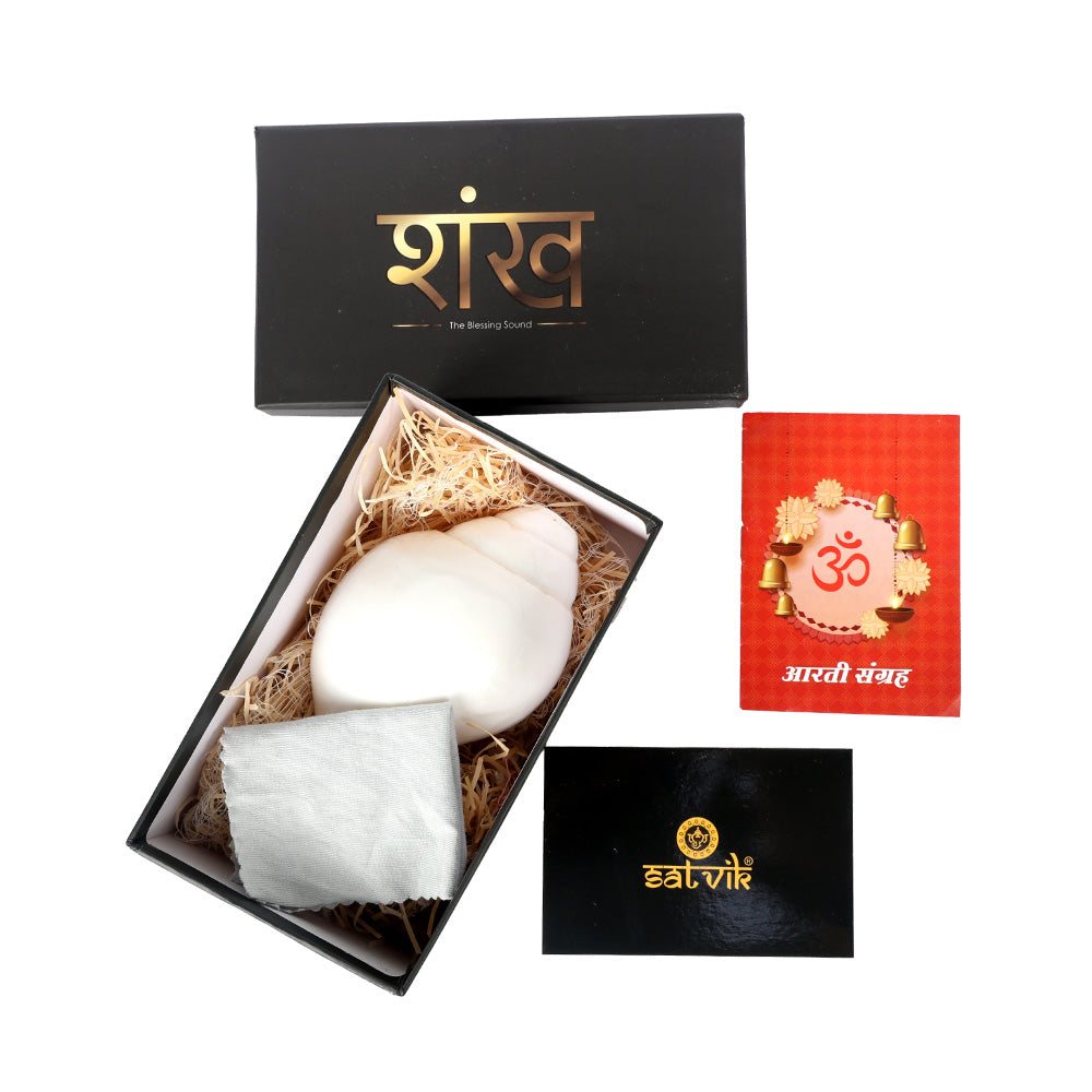 Natural 100% Original Sacred Blowing Shankh 13.5 Cm