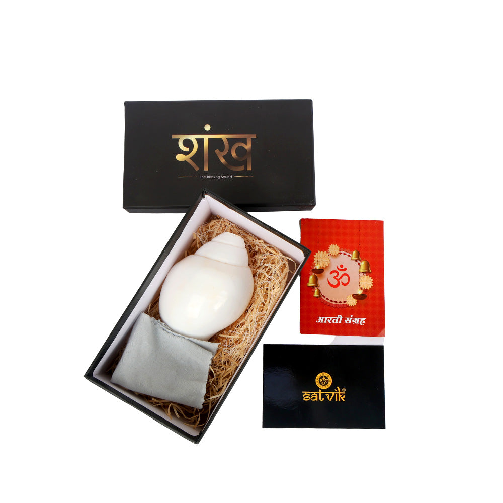 Natural 100% Original Vamavarti Shankha 5 Inch