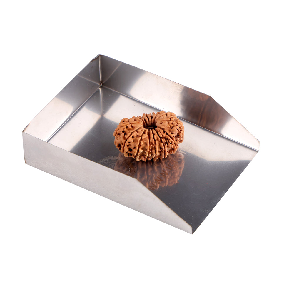 15 Mukhi Rudraksha (26.50mm)