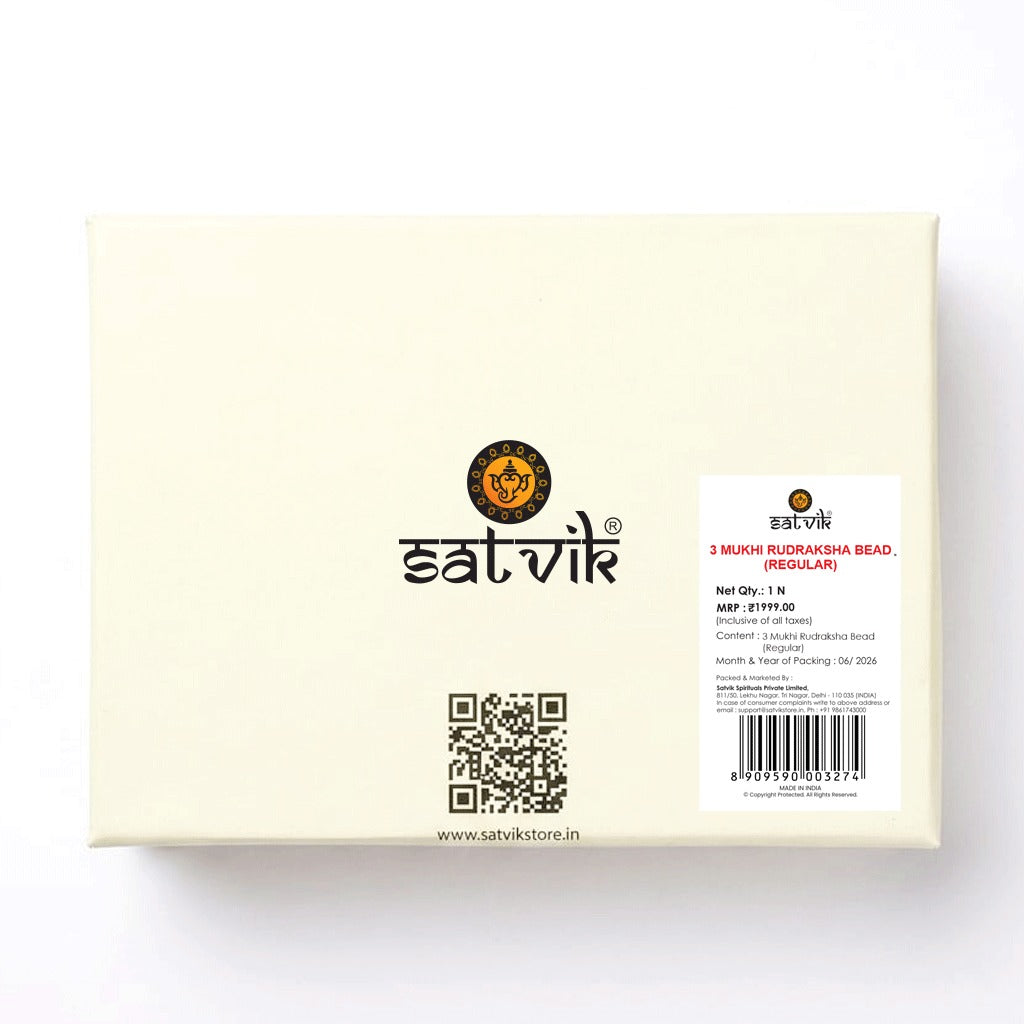 3 Mukhi Rudraksha (Regular)