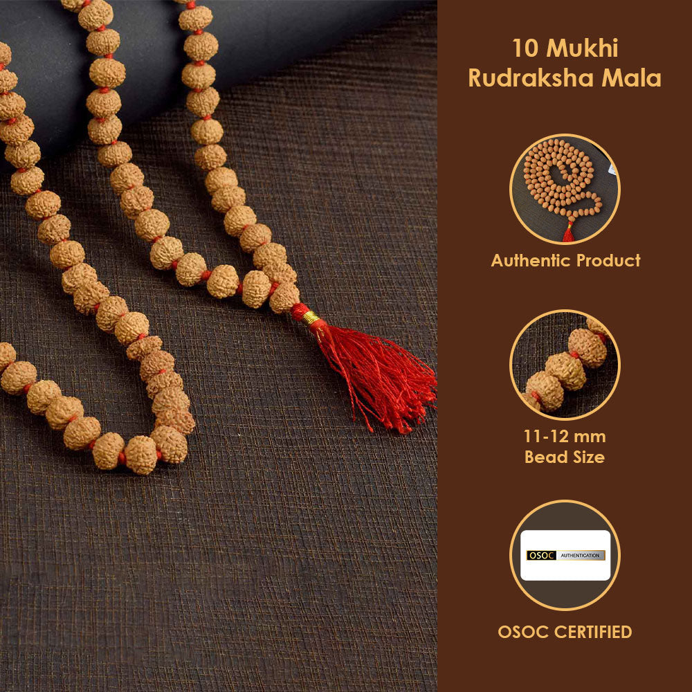 10 Mukhi Pathariya Rudraksha Mala 11-12mm