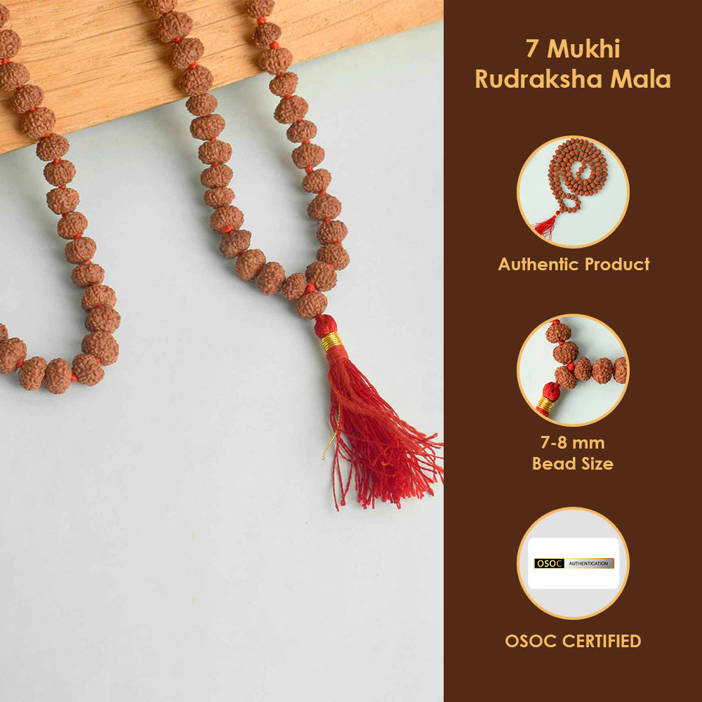 7 Mukhi Pathariya Rudraksha Mala 7-8mm
