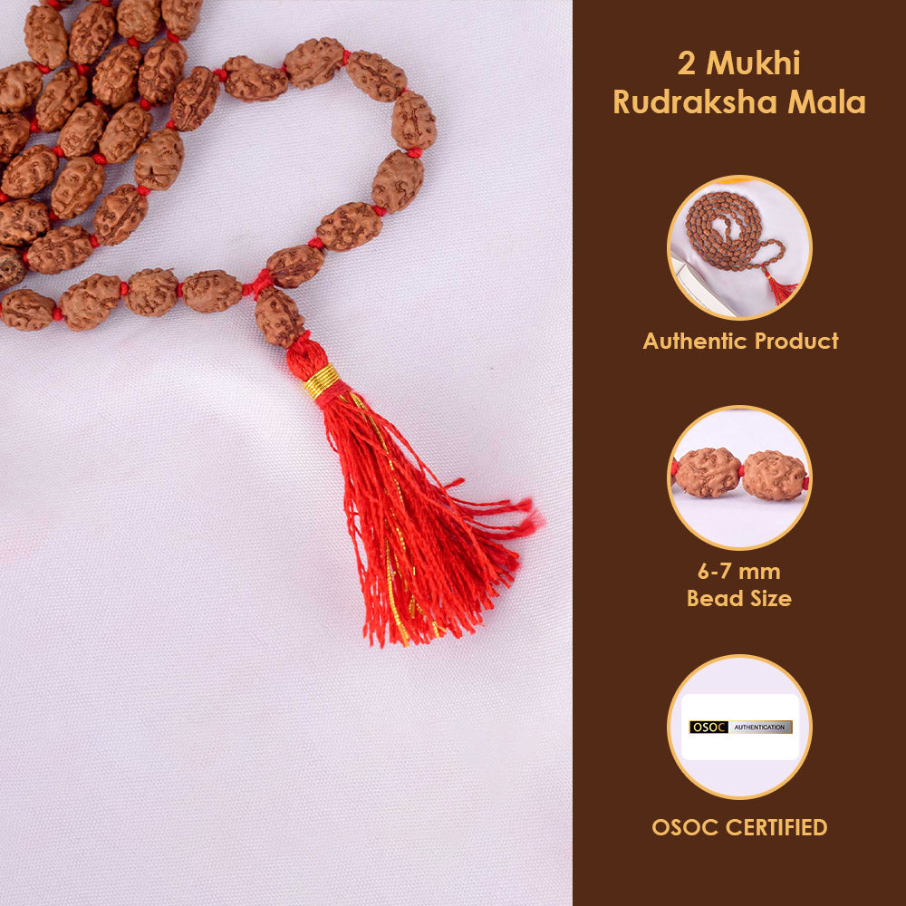 2 Mukhi Pathariya Rudraksha Mala (6-7mm)