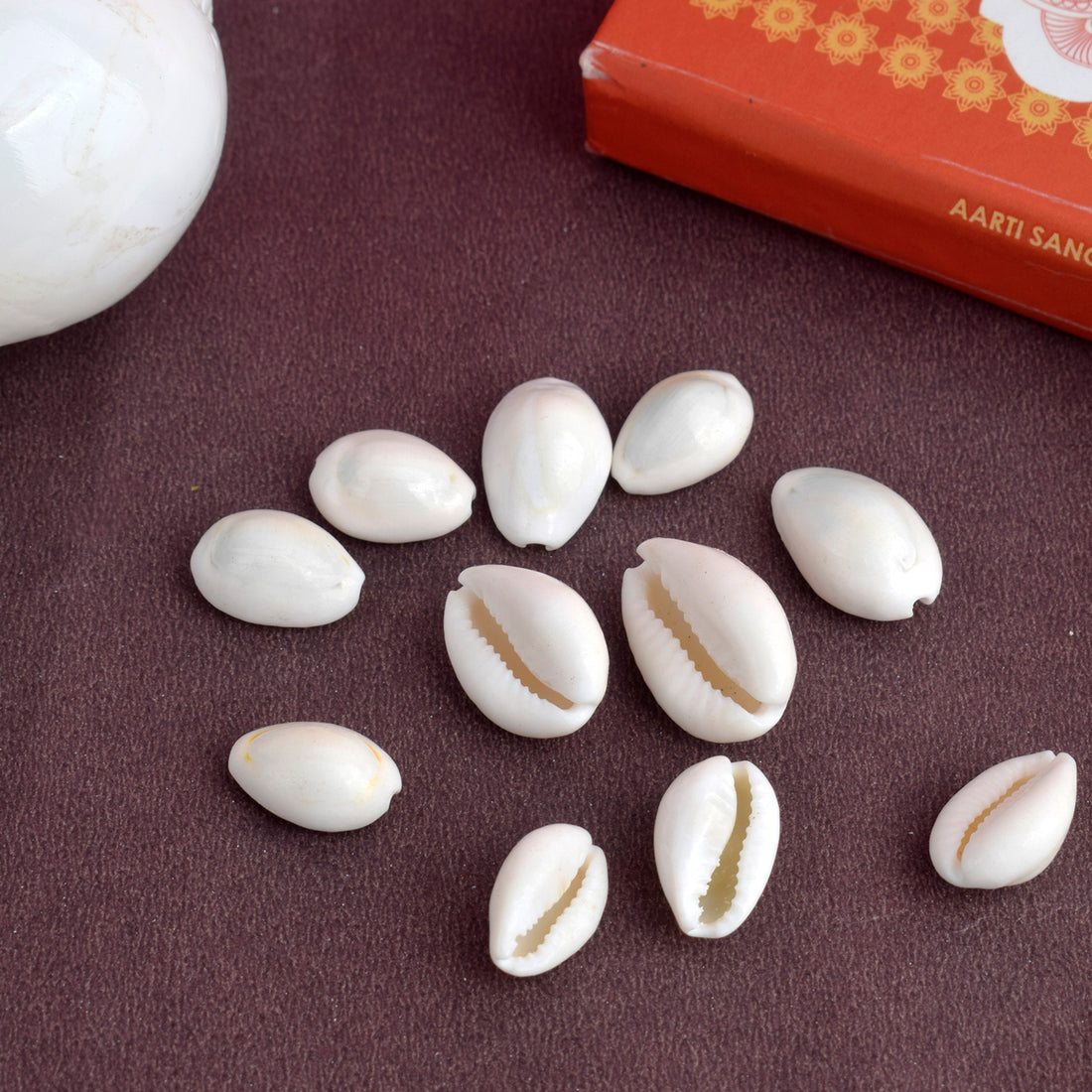White Kodi for Pooja (11 Pc) – Sacred Cowrie Shells for Daily Pooja Needs