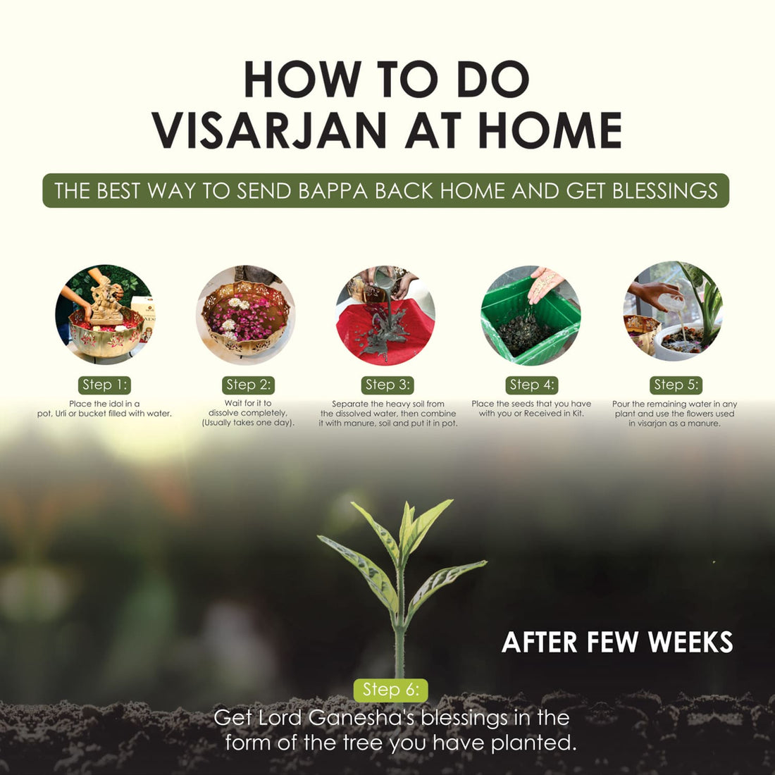 eco-friendly ganesha murti, eco-friendly ganesha online, Ganpati Bappa , eco-friendly ganpati bappa,eco-friendly ganesha kit, clay ganesha idol, plantable ganesha, organic ganesha idols, seed ganesha idol, mud ganpati, biodegradable ganesha , tree ganesha biodegradable, Paper mache