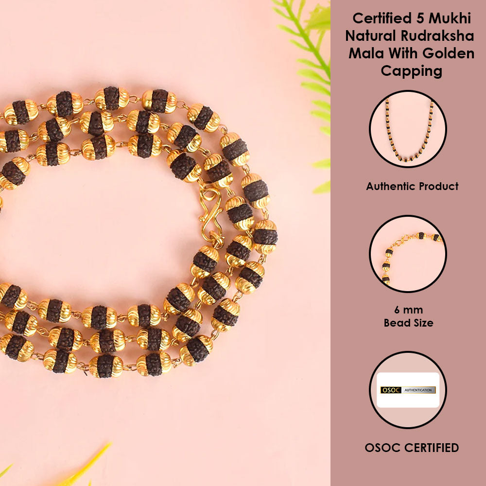 5 Mukhi Golden Capping Natural Rudraksha Mala 100% Original & Certified