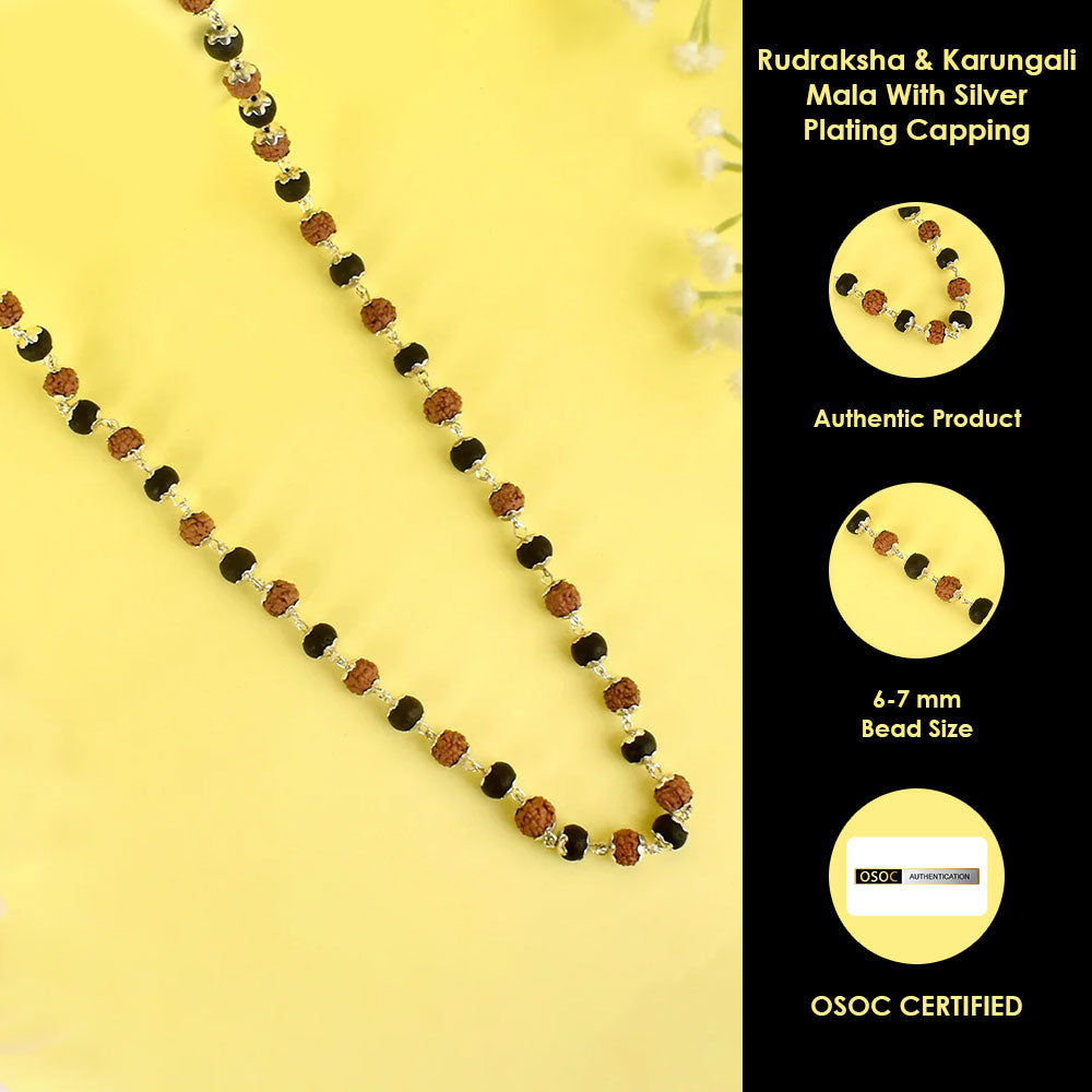 Rudraksha & Karungali Mala Silver Plated Beads Spiritual Protection Govt Certified