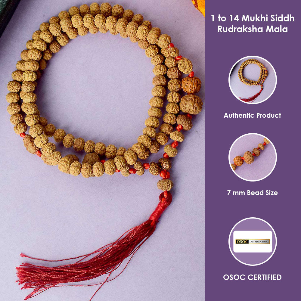 1 to 14 Mukhi Siddh Rudraksha Mala Certified & Authentic