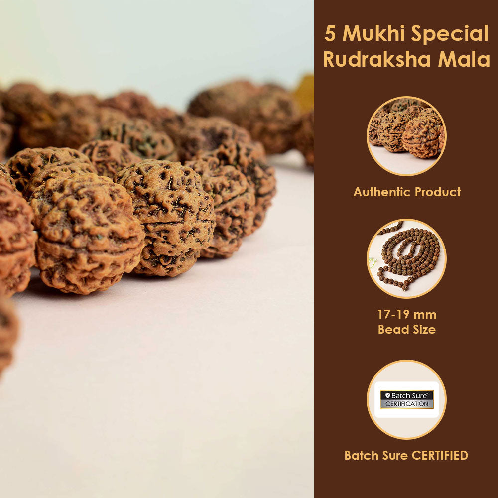 5 Mukhi Special Kantha Rudraksha Mala