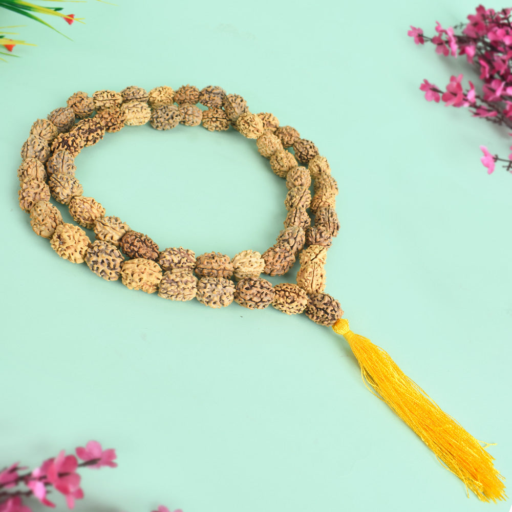 3 Mukhi Kantha Rudraksha Mala