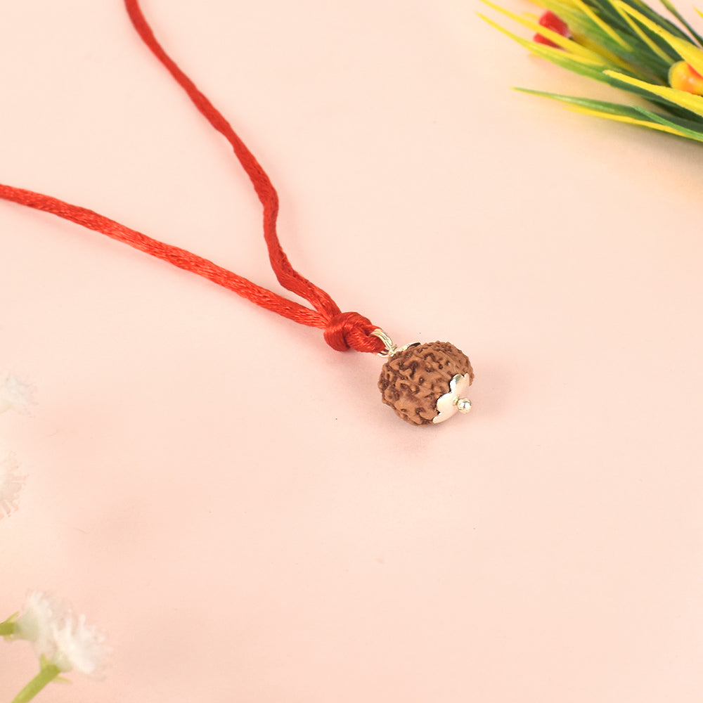 Certified 13 Mukhi Rudraksha Pendant