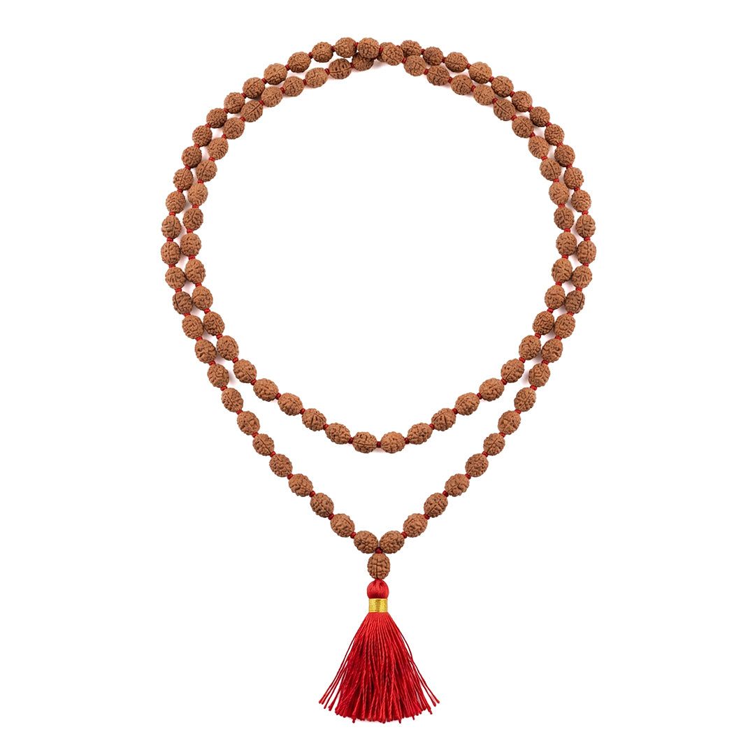 2 Mukhi Rudraksha Mala