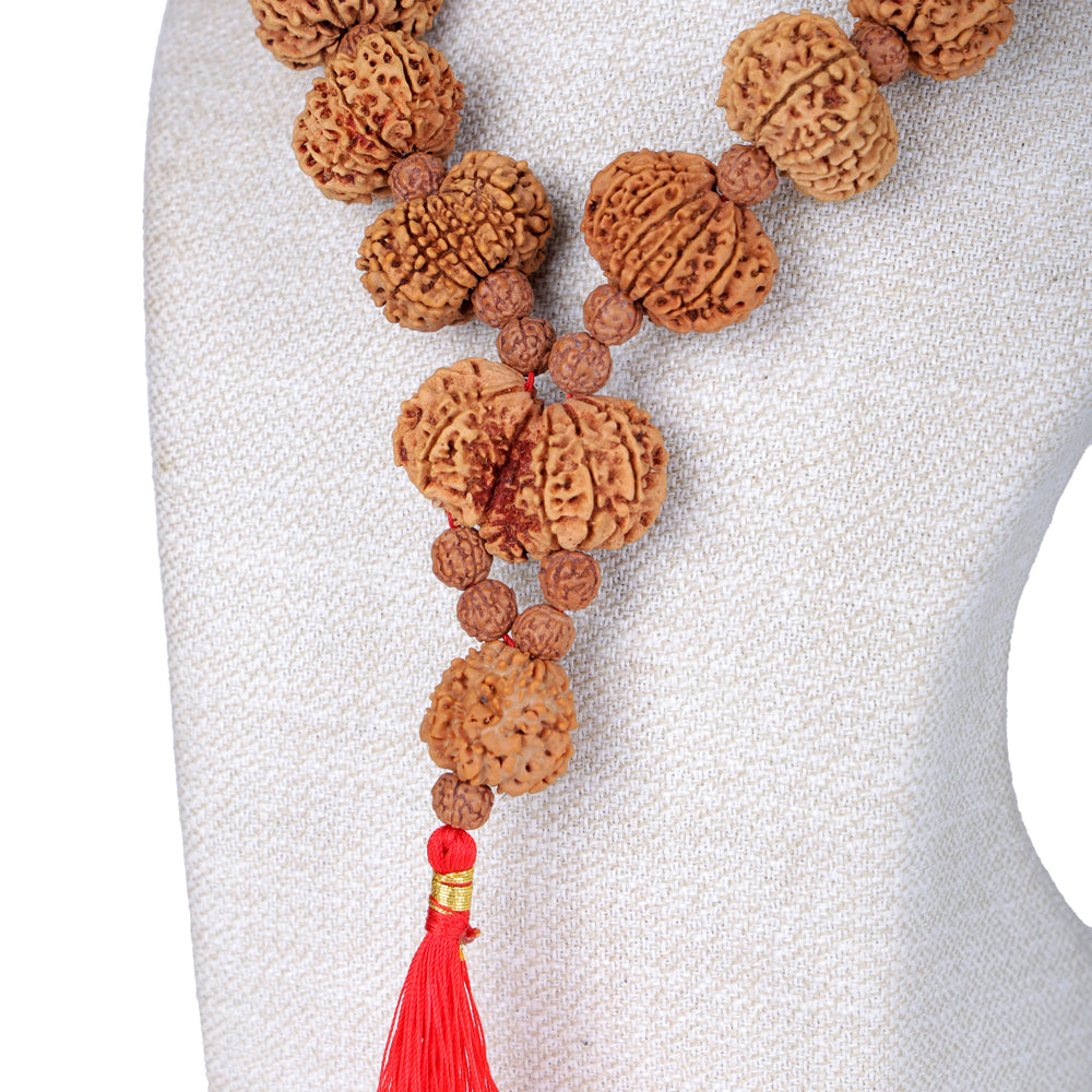 Siddha Mala with 1 Mukhi Underdeveloped (Collector Grade, Nepal- Thread)