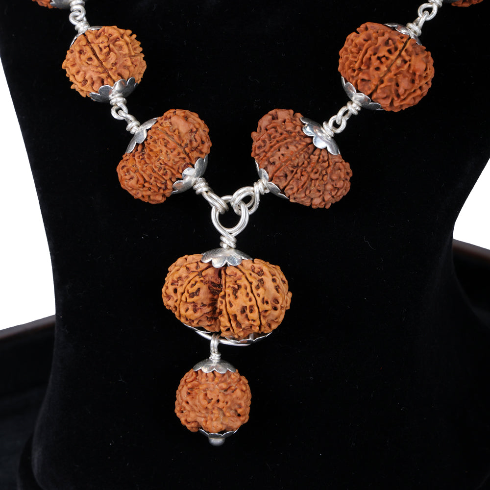 Siddha Mala with 1 Mukhi Underdeveloped (Full Rudraksha, Nepal)