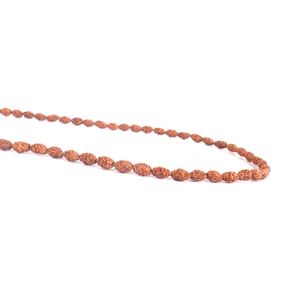 2 Mukhi Semi Pathriya Rudraksha Mala (4–6mm) for Spiritual Balance