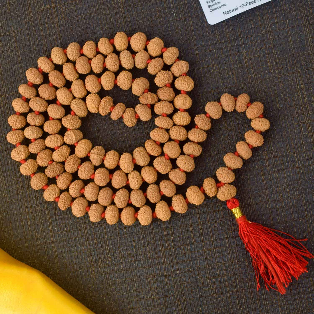 10 Mukhi Pathariya Rudraksha Mala 11-12mm