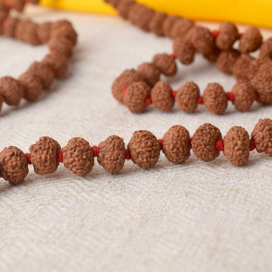10 Mukhi Pathariya Rudraksha Mala 8-9mm