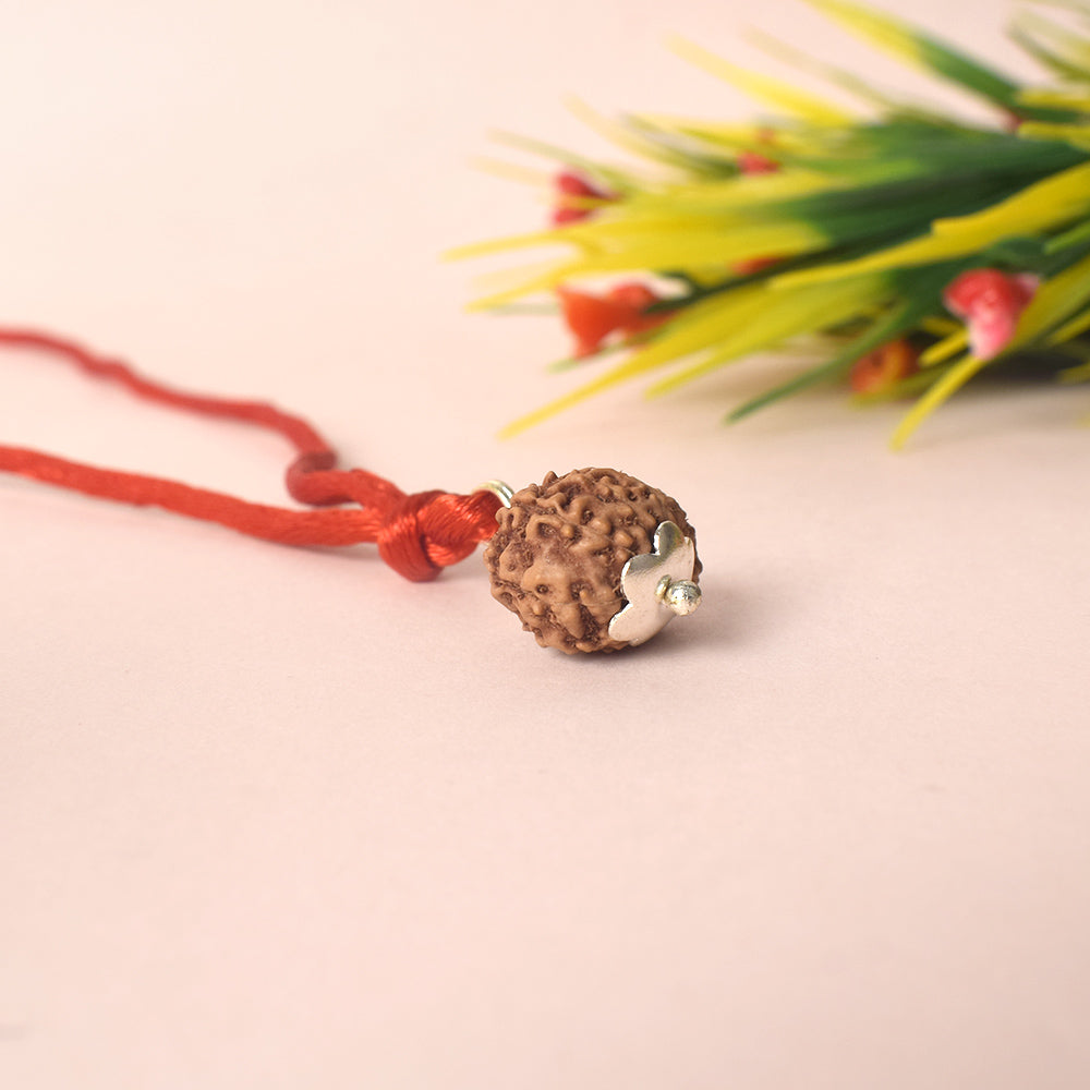 Certified 13 Mukhi Rudraksha Pendant
