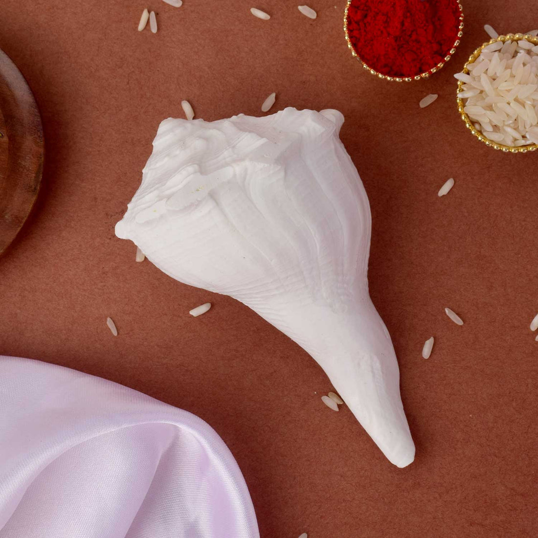 Natural 100% Original Dakshinavarti Shankh (Conch Shell) 10–11 cm