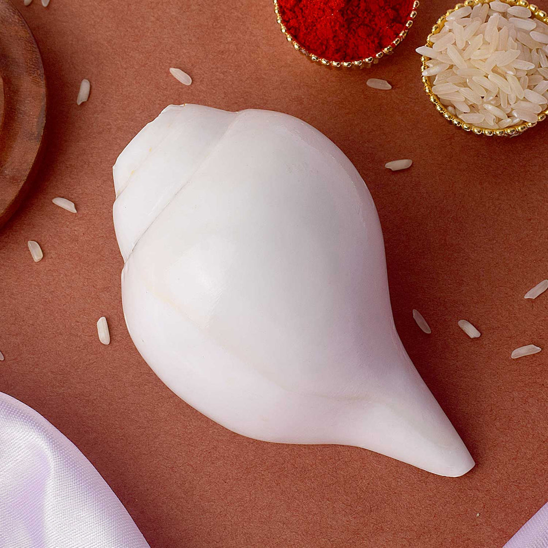 Natural 100% Original Vamavarti Shankha 10–11 cm