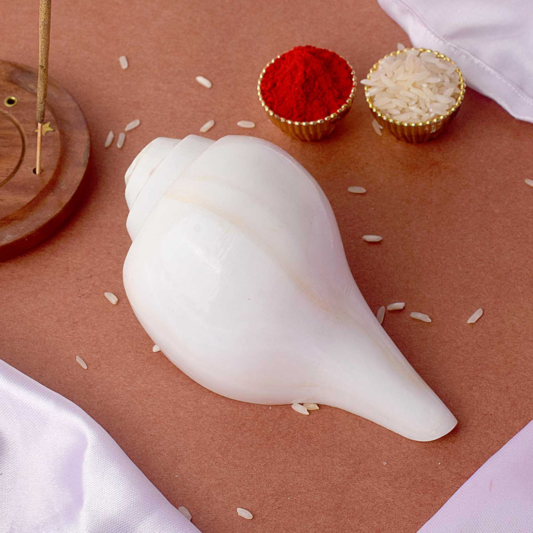 Natural 100% Original Vamavarti Shankha 12 cm