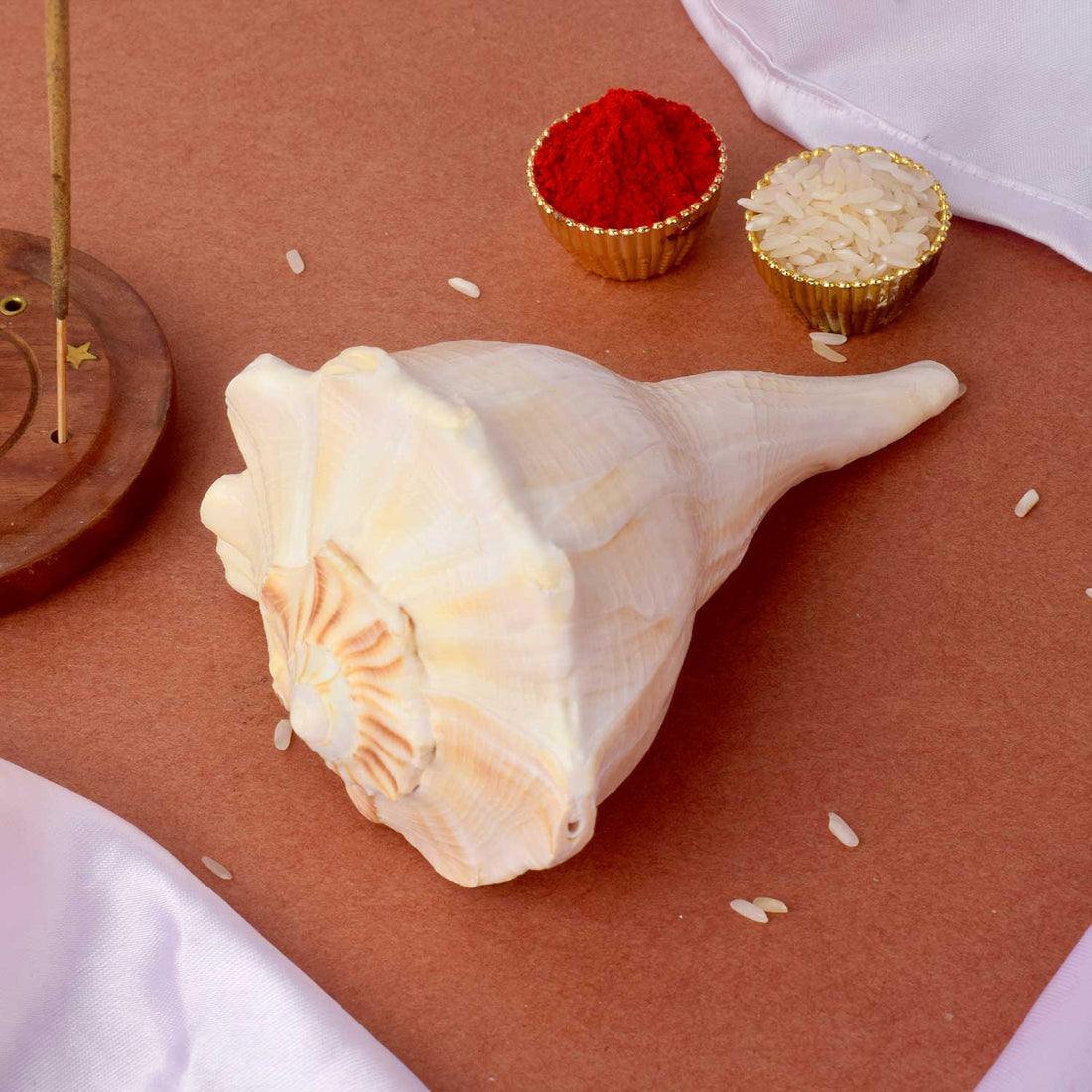 Natural Dakshinavarti Shankh (Conch) for Lakshmi Blessings โ 12-13 cm