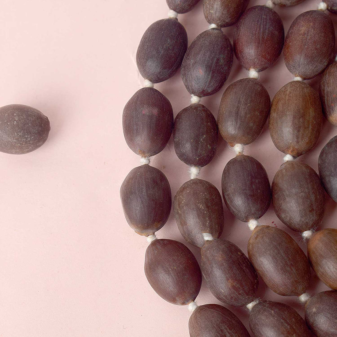 Kamalgatta Jaap Mala – Sacred Lotus Seed Mala for Wealth