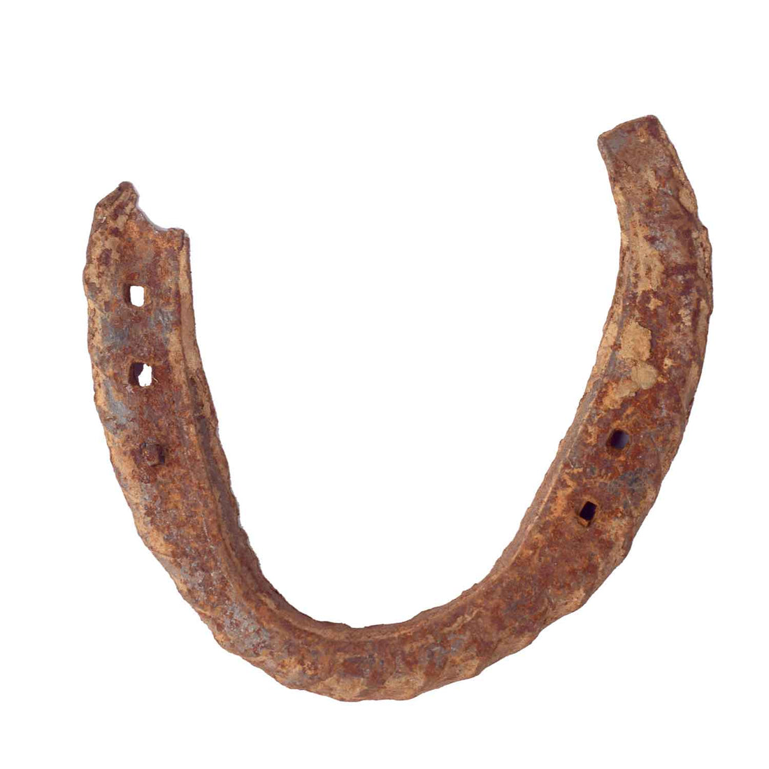 Original Ghode Ki Naal/Black Horse Shoe: Symbol of Luck and Protection