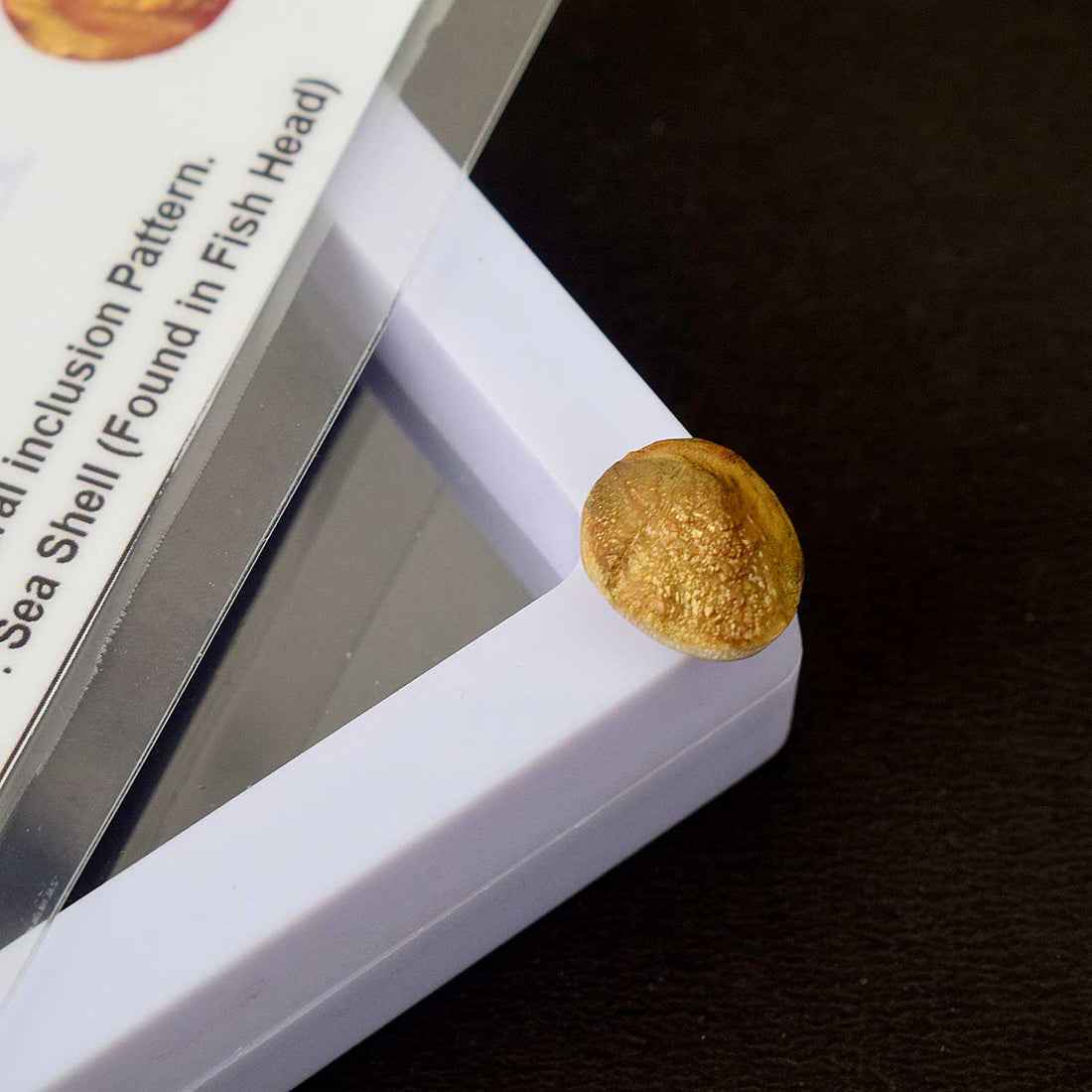 Certified Natural Machh Mani in Golden Finish for Divine Protection