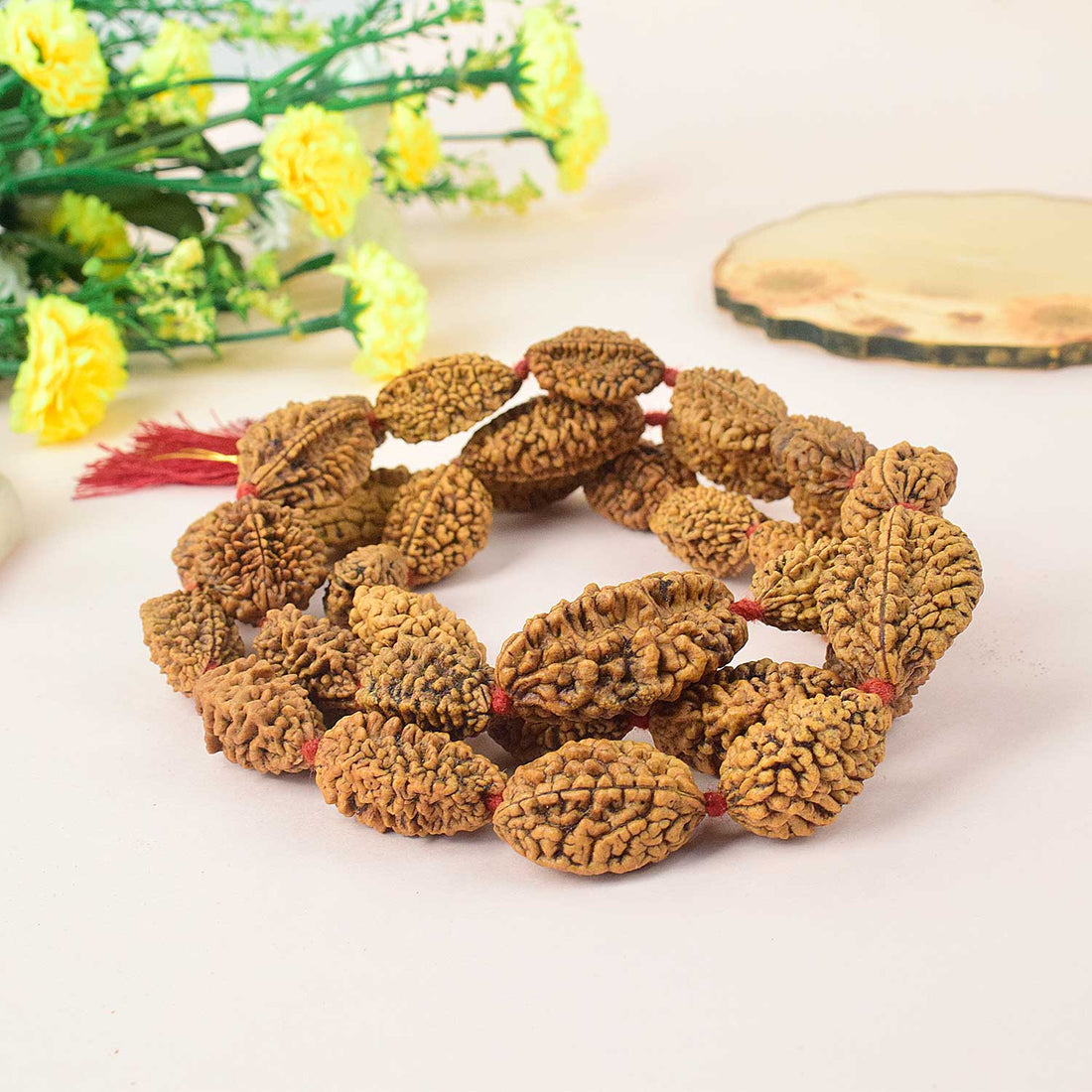 2 Mukhi Kantha Rudraksha Mala