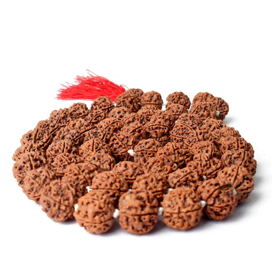 5 Mukhi Rudraksha Kantha Mala