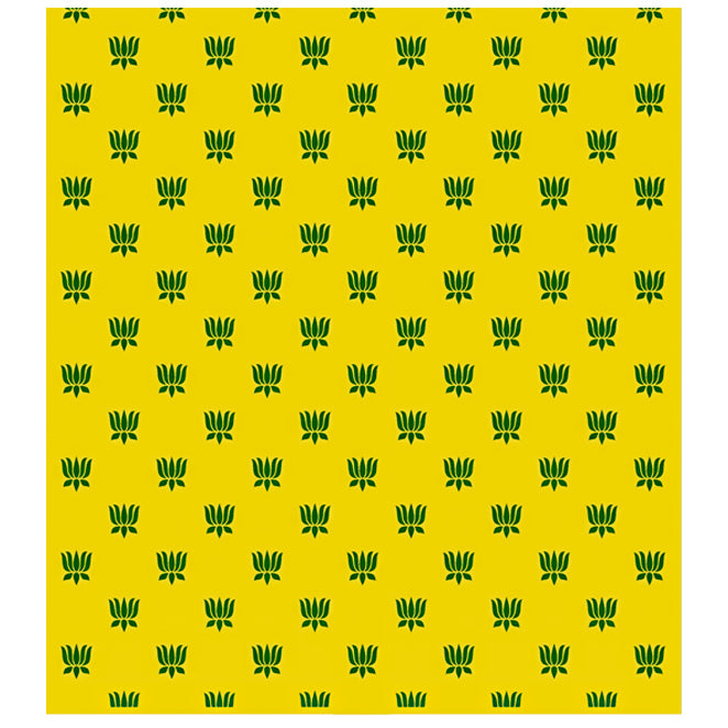 Premium Printed Backdrop Clothes