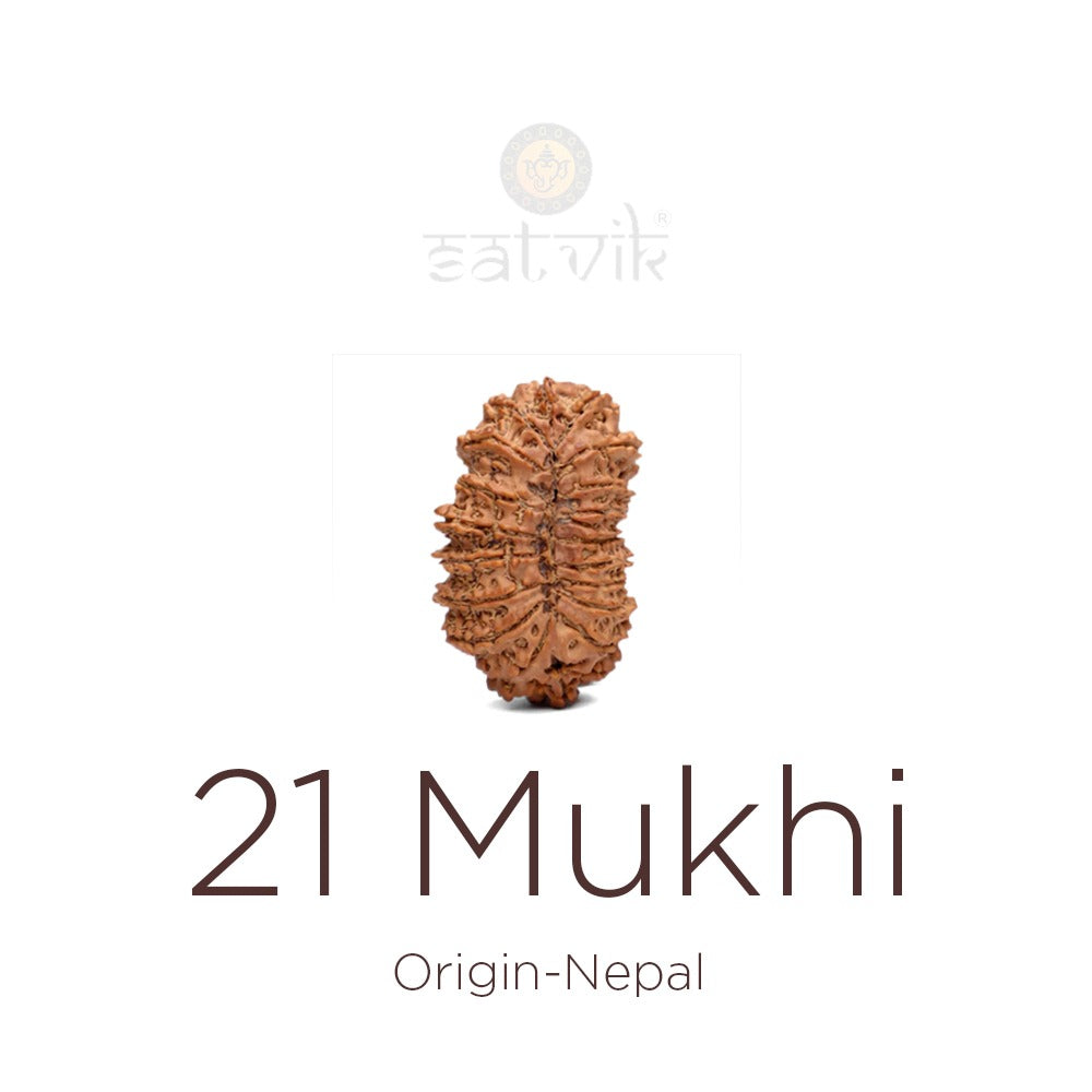 21 Mukhi Rudraksha: Complete Guide to Wealth, Prosperity & Lord Kubera’s Divine Blessings