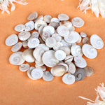 Gomti Chakra 51 Pcs