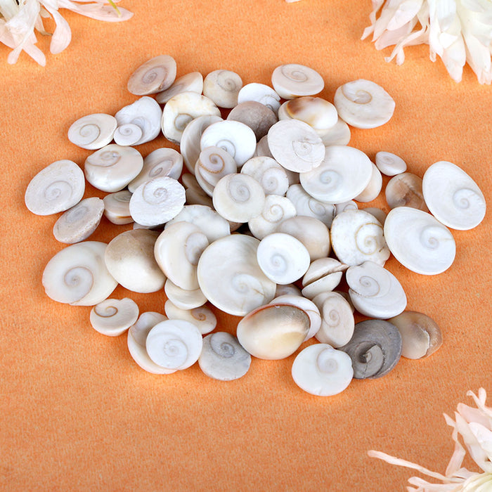 Gomti Chakra 101 Pcs