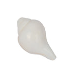 Natural 100% Original Vamavarti Shankha 5 Inch
