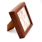 Rose Quartz Tree with Frame Decorative Spiritual Piece