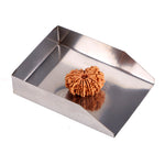 14 Mukhi Rudraksha (24.51mm)