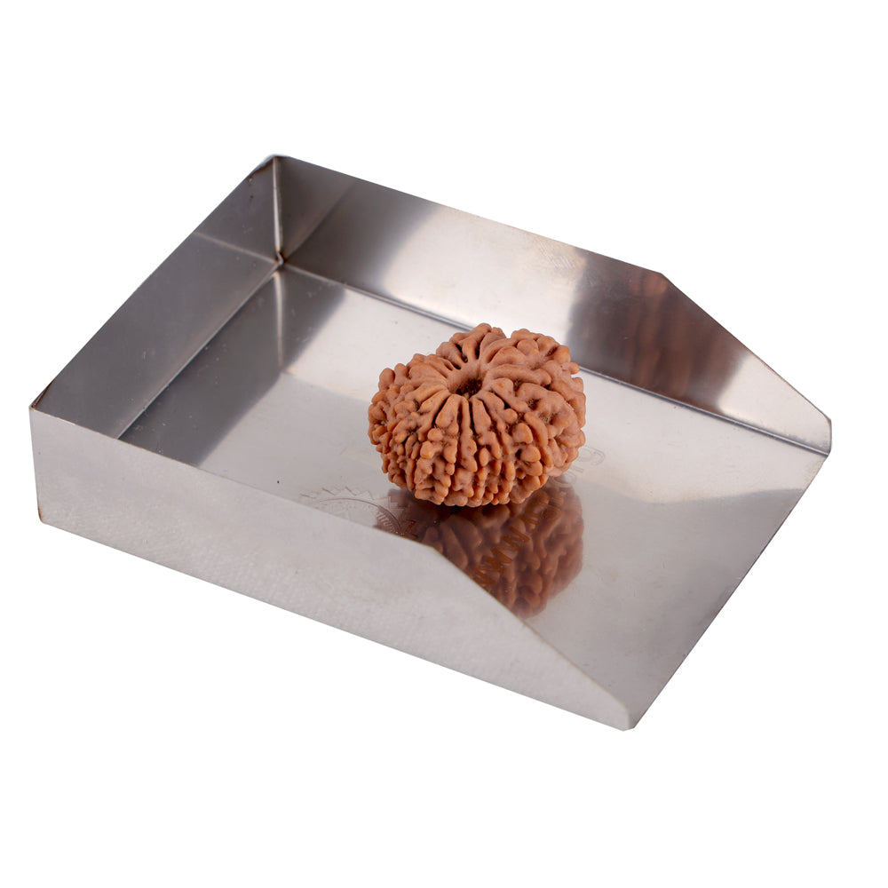 14 Mukhi Rudraksha (24.17mm)