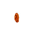 1 Mukhi Rudraksha