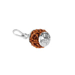 5 Mukhi Rudraksha Pendant with Silver Cap (with Hook)