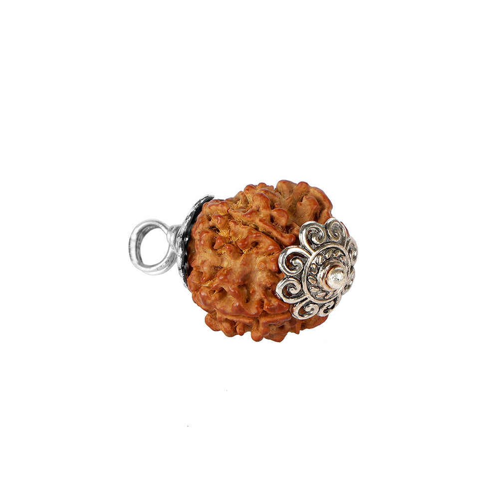 5 Mukhi Rudraksha Pendant with Design Silver Cap