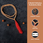 5 Mukhi Pathariya Rudraksh Mala 108 Beads 8mm
