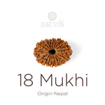 18 Mukhi Rudraksha bead natural Nepali eighteen face Rudraksha. India’s Premium Rudraksha Beads Brand - www.satvikstore.in