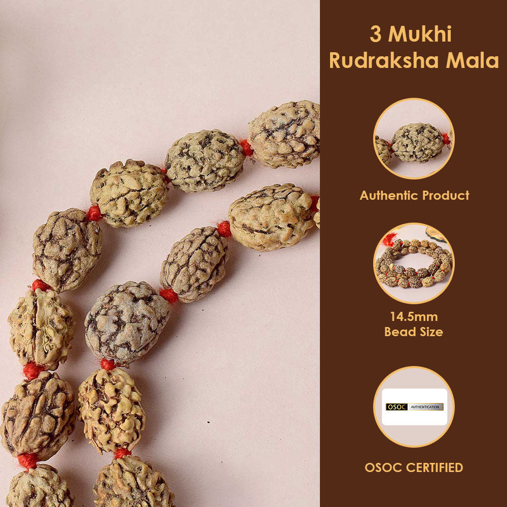 3 Mukhi Kantha Rudraksha Mala