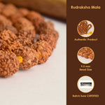 5 Mukhi Rudraksha Mala – Natural Spiritual 9mm Beads