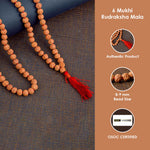 6 Mukhi Pathariya Rudraksha Mala 8-9 mm