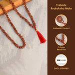 9 Mukhi Pathariya Rudraksha Mala 7-8mm