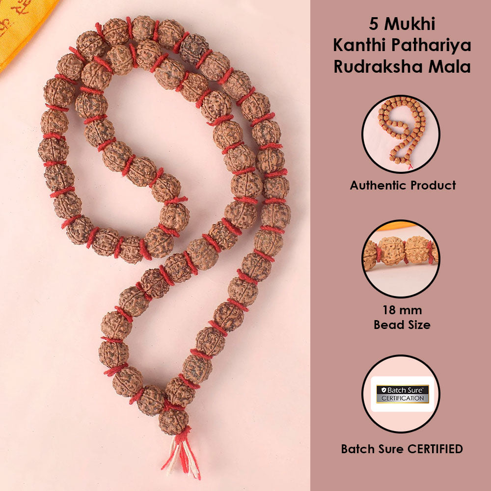 18mm 5 Mukhi Kanthi Pathriya Rudraksha Mala