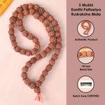 18mm 5 Mukhi Kanthi Pathriya Rudraksha Mala